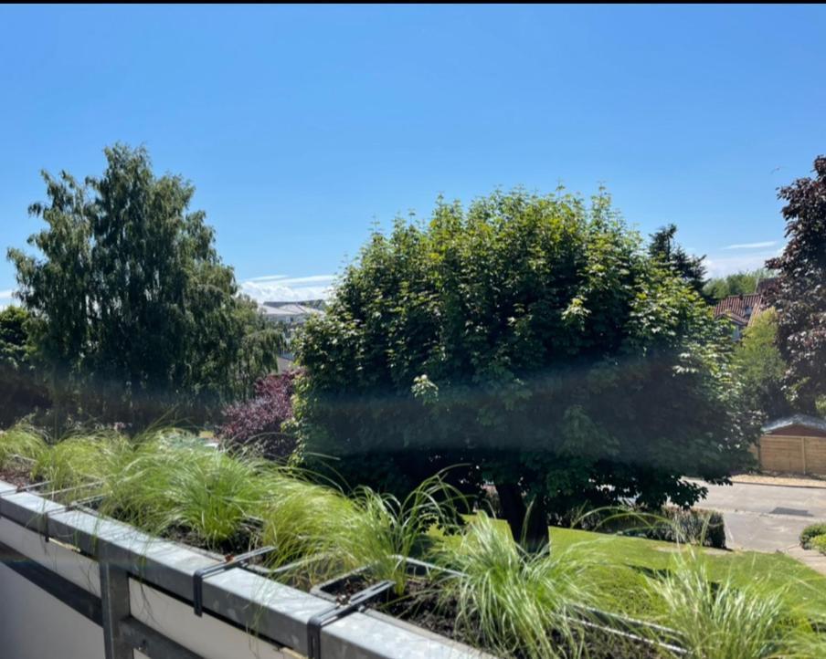 Moin Groemitz Apartment Bagian luar foto